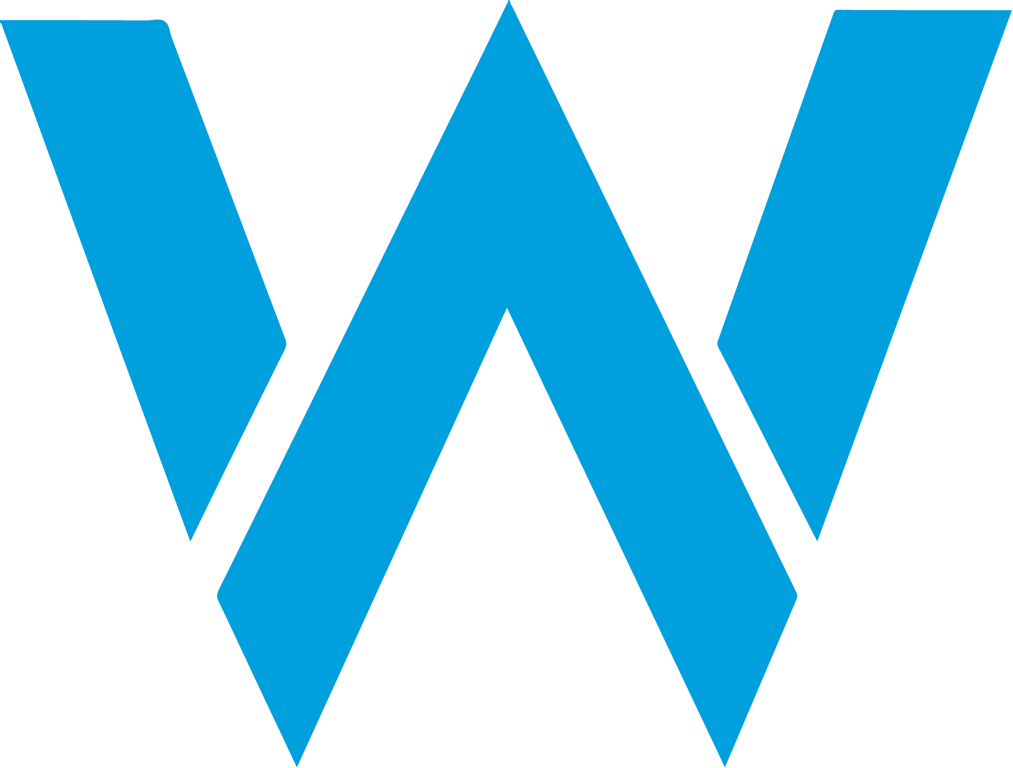 logowilliams.png Logo Williams